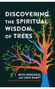Discovering the Spiritual Wisdom of Trees