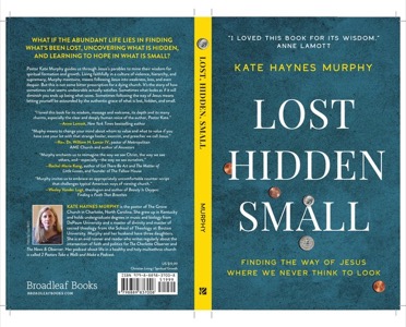 Lost, Hidden, Small
