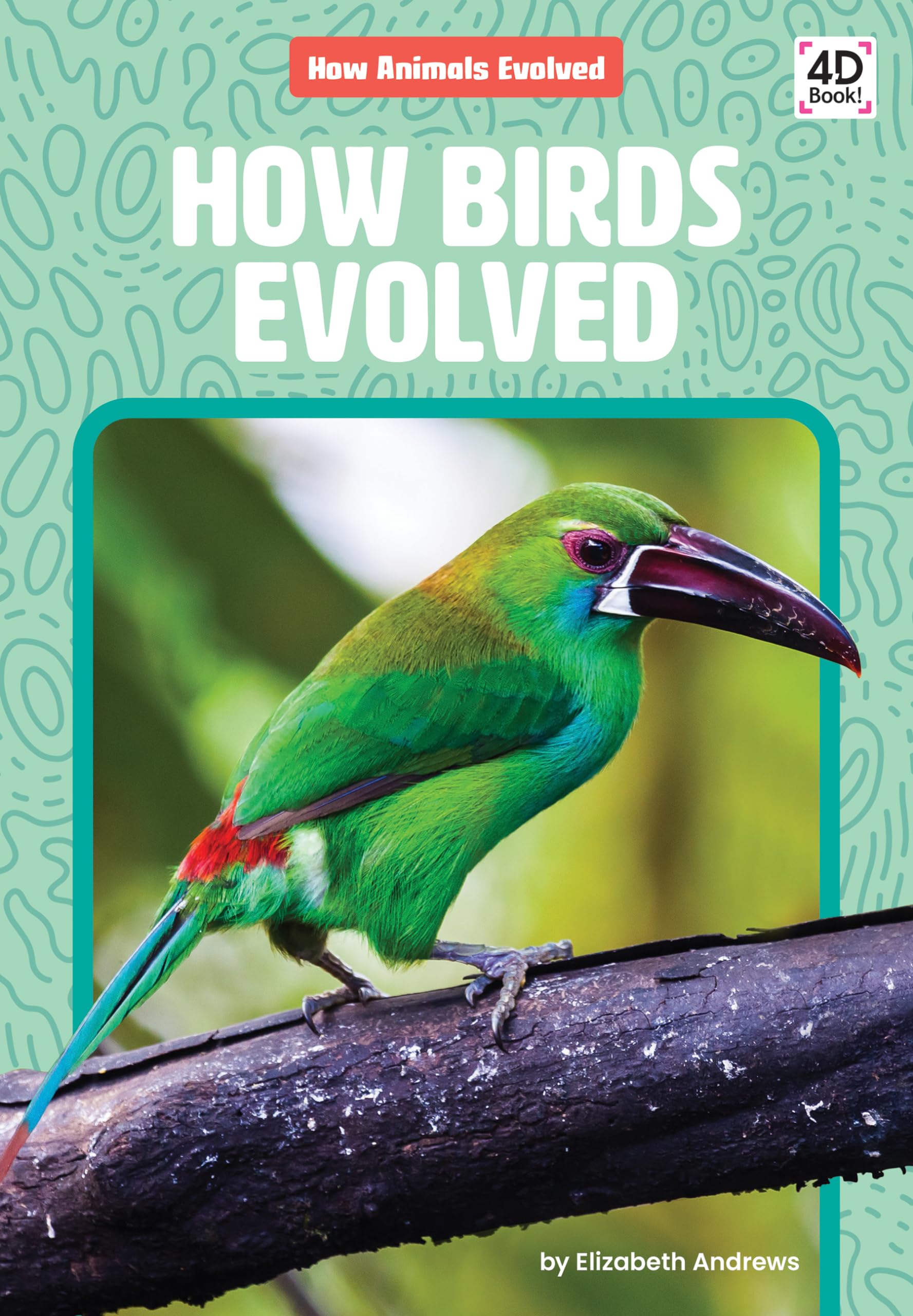 How Birds Evolved (How Animals Evolved)