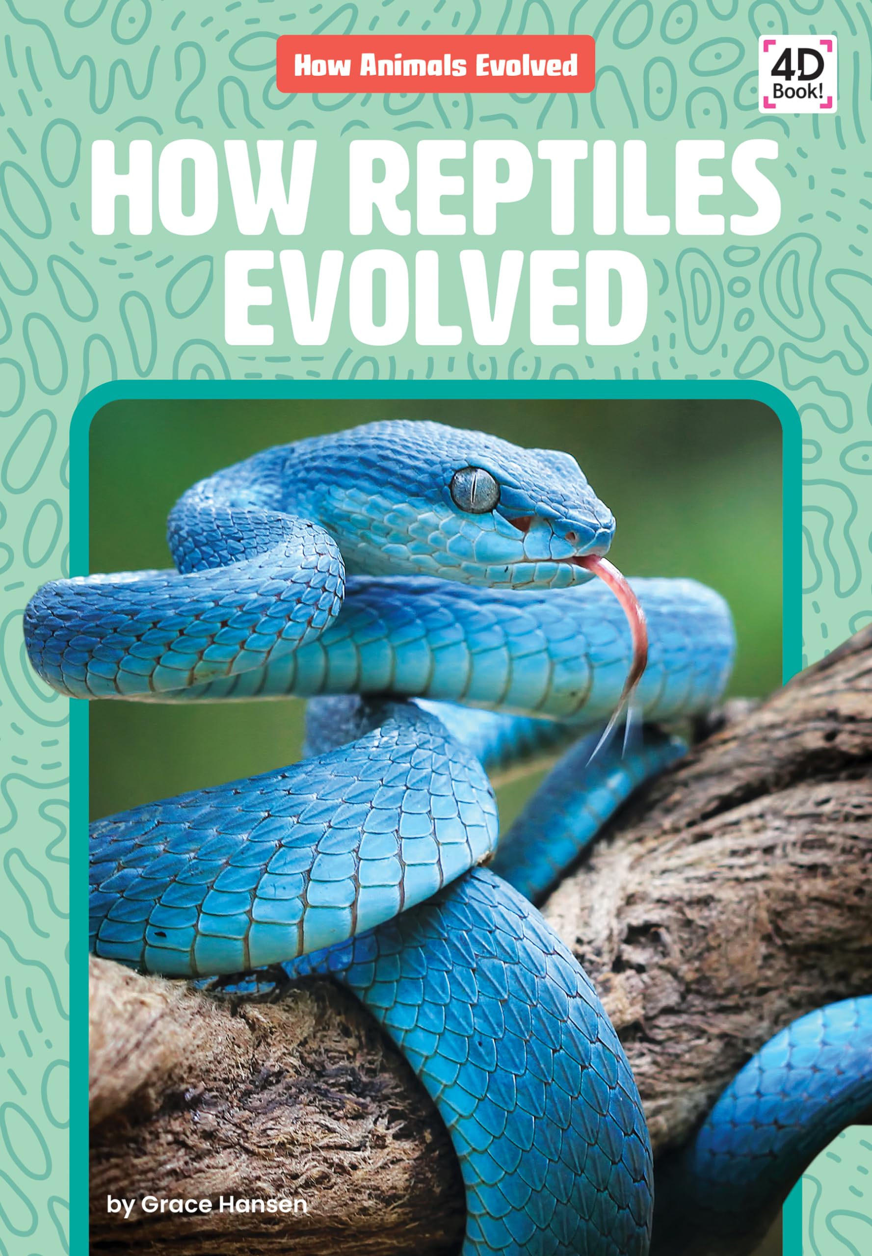 How Reptiles Evolved (How Animals Evolved)