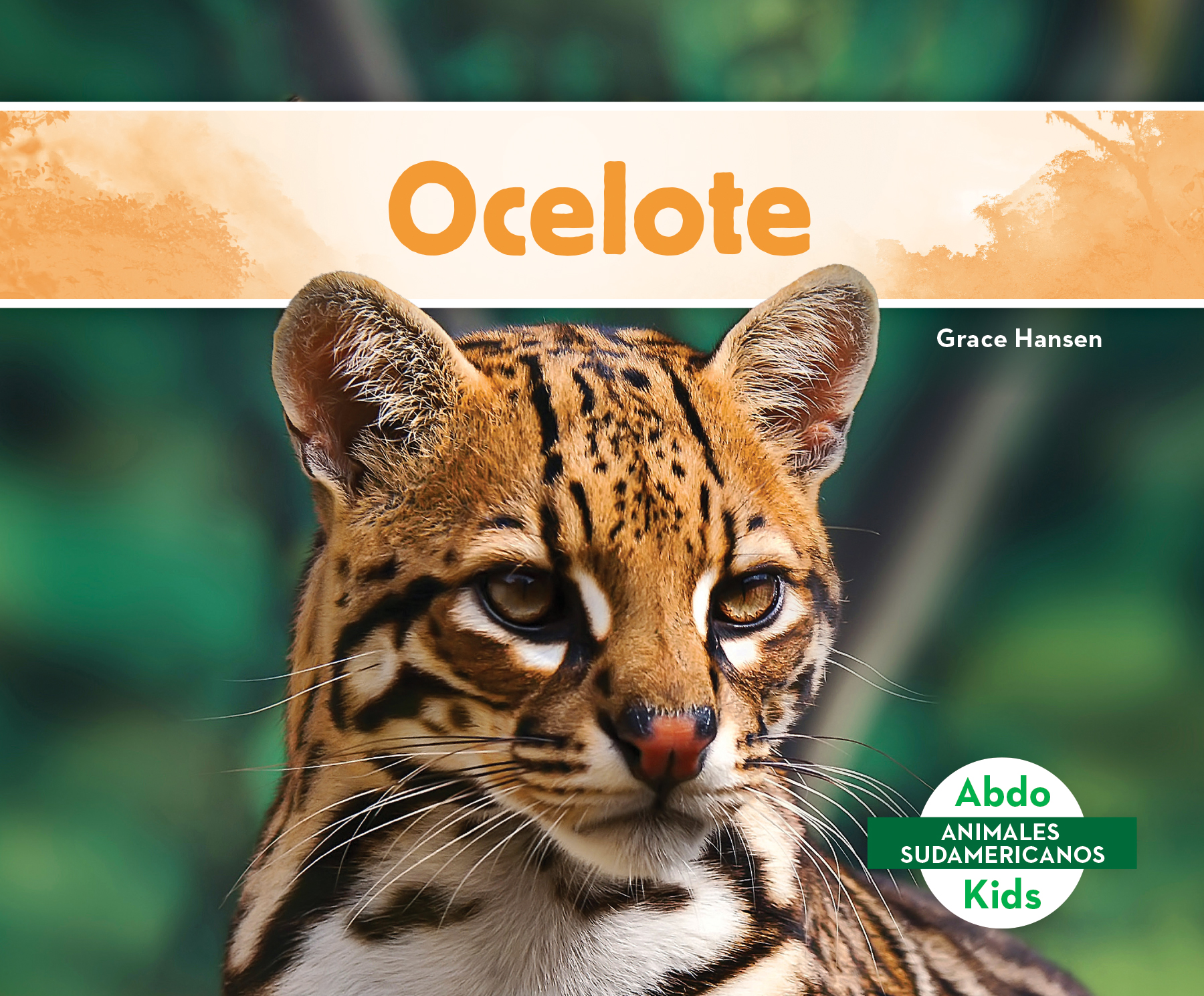 Ocelote