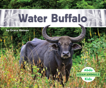 Water Buffalo