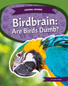 Birdbrain: Are Birds Dumb?