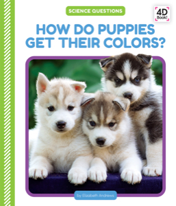 How Do Puppies Get Their Colors?