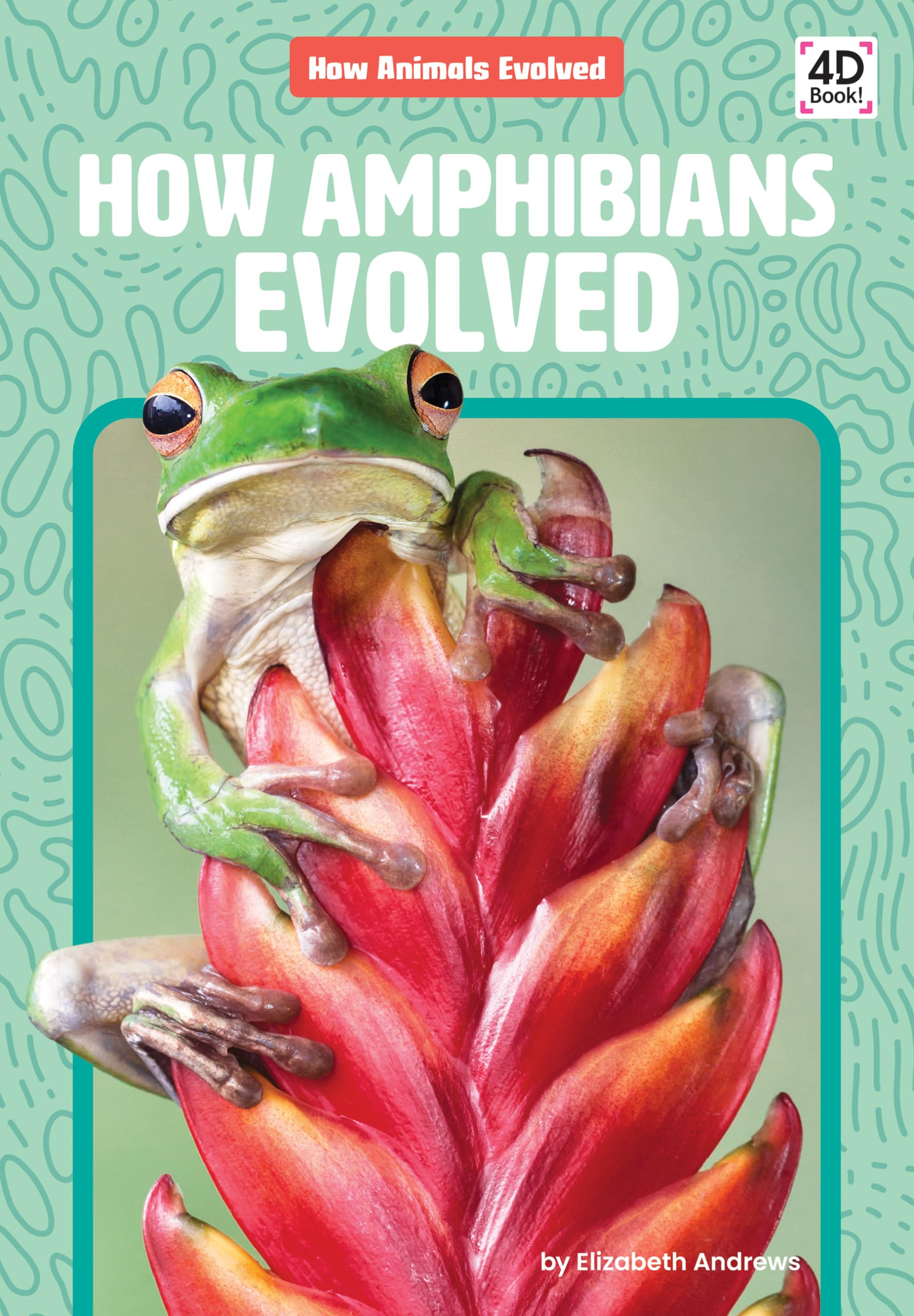 How Amphibians Evolved (How Animals Evolved)
