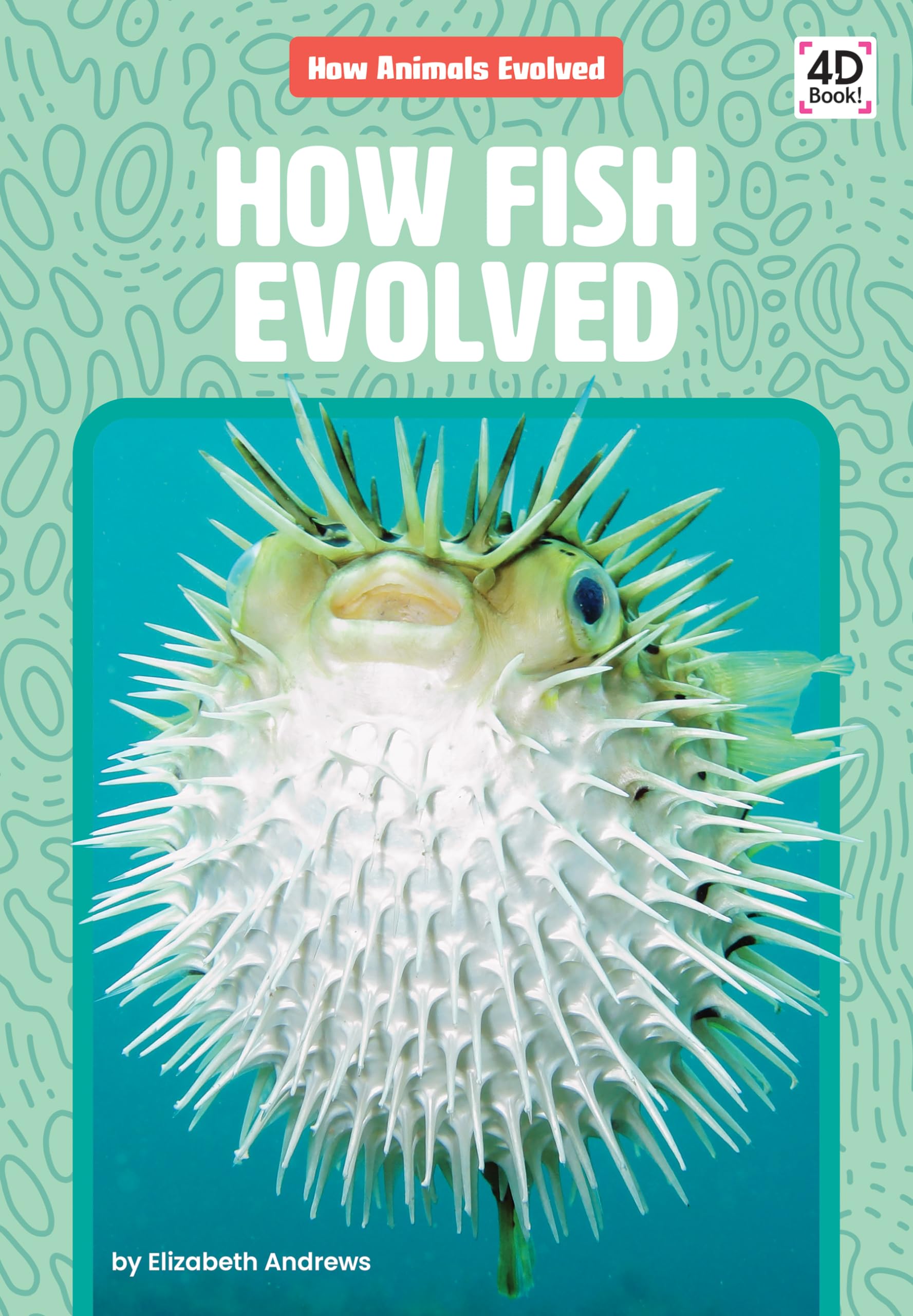 How Fish Evolved (How Animals Evolved)