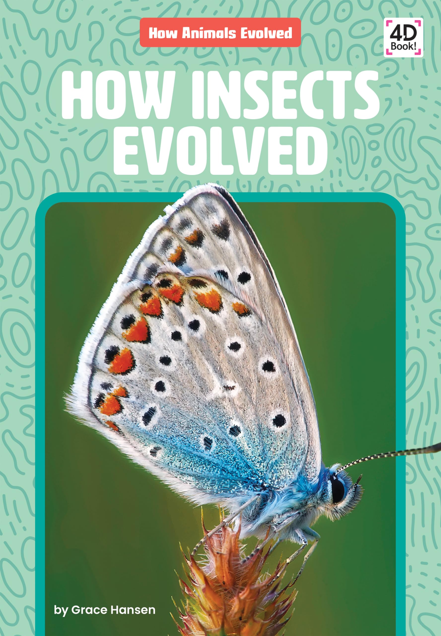 How Insects Evolved (How Animals Evolved)