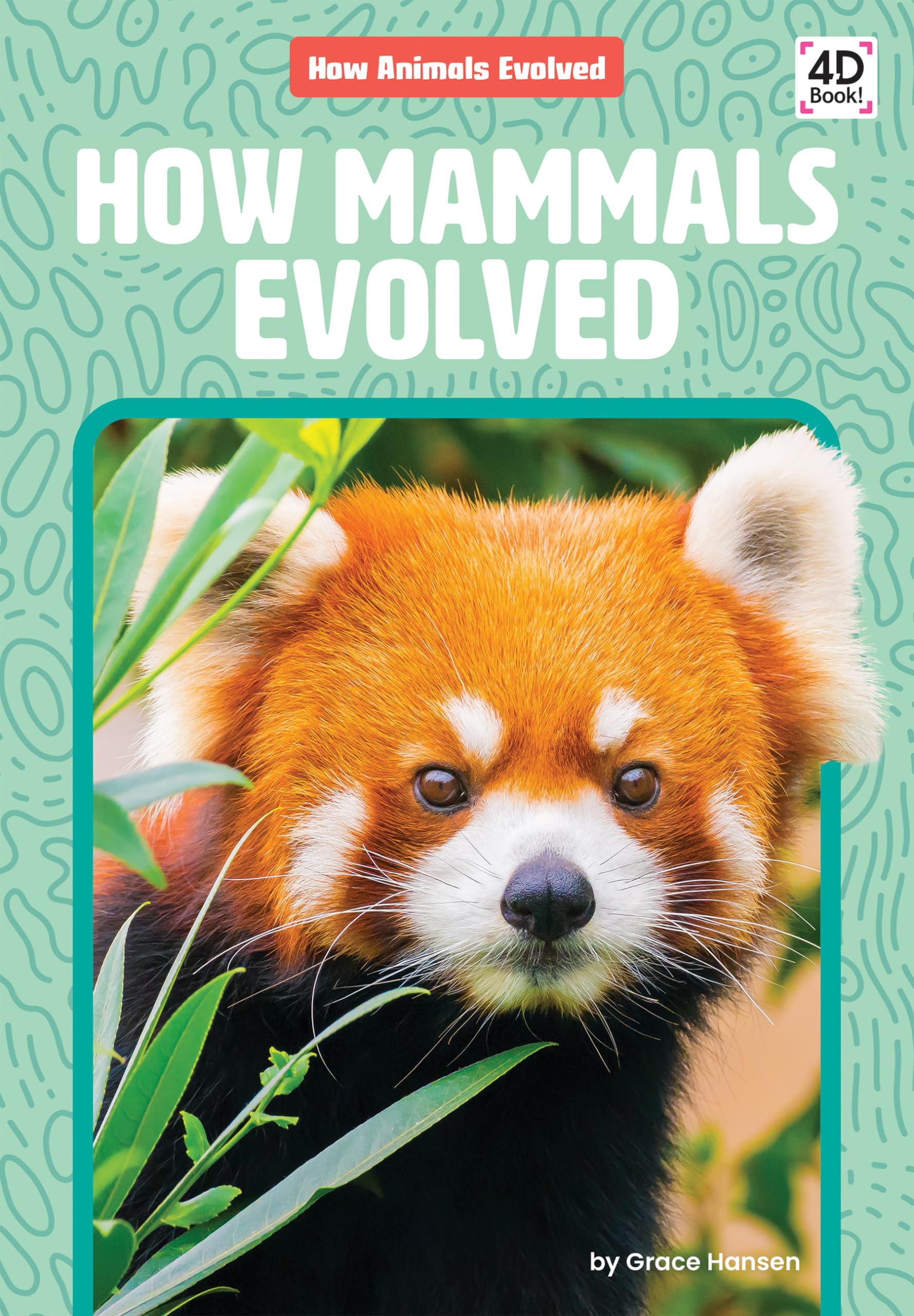 How Mammals Evolved (How Animals Evolved)