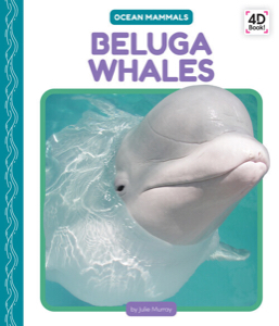 Beluga whales
