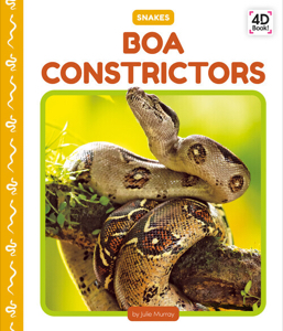 Boa constrictors