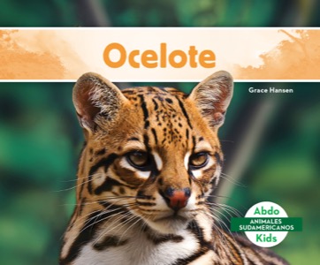 Ocelote