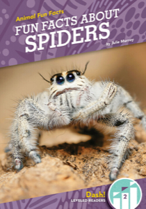Fun Facts About Spiders
