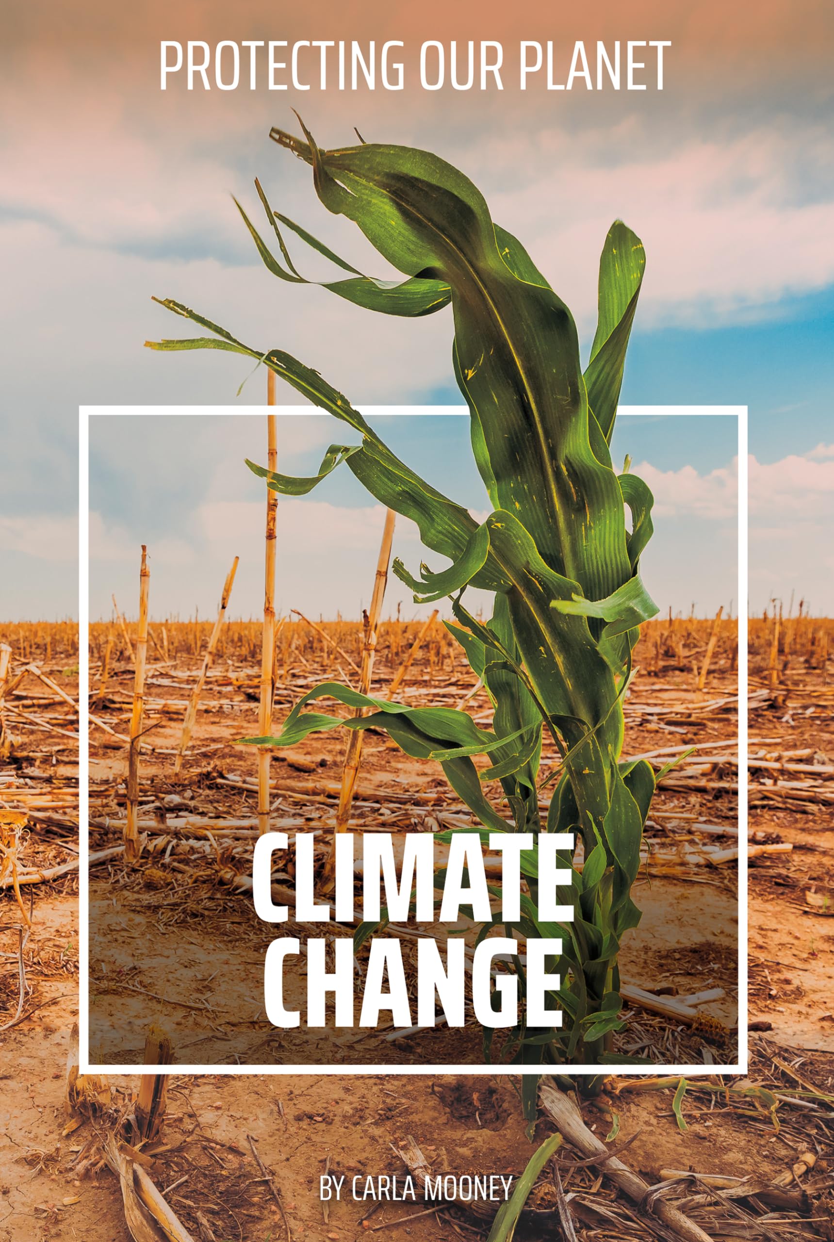 Climate Change (Protecting Our Planet)