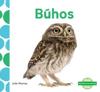 Búhos (Owls)