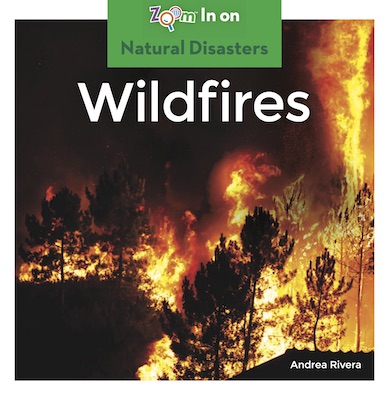 Wildfires