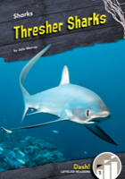 Thresher Sharks