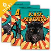 Superhero Animals