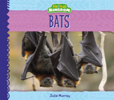 Bats