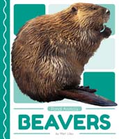 Beavers