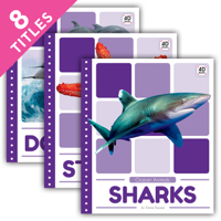 Ocean Animals
