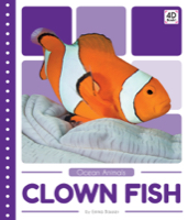 Clown Fish