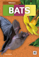 Bats