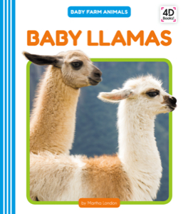Baby Llamas