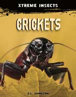 Crickets