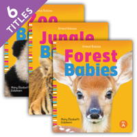 Animal Babies