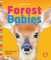 Forest Babies