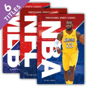 Professional Sports Leagues