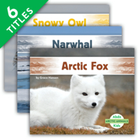 Arctic Animals