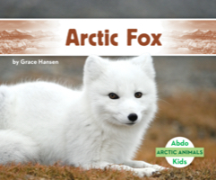 Arctic Fox