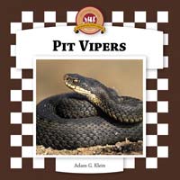 Pit Vipers