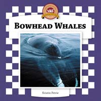 Bowhead Whales