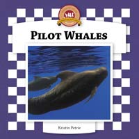 Pilot Whales