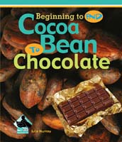 Cocoa Bean to Chocolate
