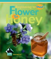 Flower to Honey