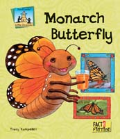 Monarch Butterfly