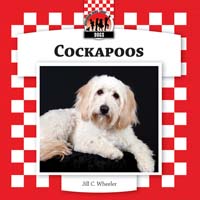 Cockapoos