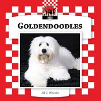Goldendoodles
