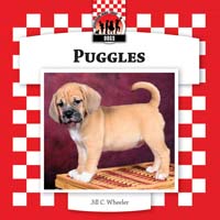 Puggles
