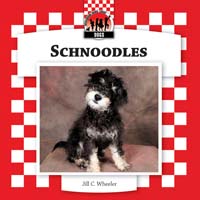 Schnoodles