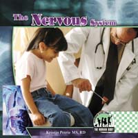 Nervous System