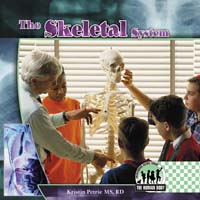 Skeletal System
