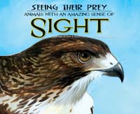 Seeing Their Prey: Animals with an Amazing Sense of Sight