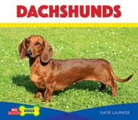 Dachshunds
