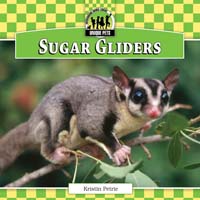 Sugar Gliders