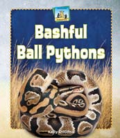Bashful Ball Pythons