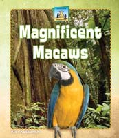 Magnificent Macaws